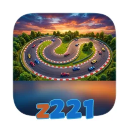 z221